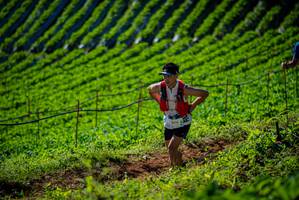 BIB: 9100
                            <button type="button" onclick="openModal(19161049)" class="btn btn-primary btn-sm float-right btn-popup" data-toggle="modal" data-target=".modal-high-quality">
                        <i class="fas fa-shopping-cart"></i> Add to Cart
                    </button>
                                            <button type="button" onclick="isThisMe(19161049, true)" class="btn btn-success btn-sm float-right btn-popup btn-isme hidden" data-toggle="tooltip" data-placement="bottom" title="นี่คือรูปของคุณใช่ไหม คลิกที่นี่เพื่อเอาเข้าอัลบั้ม">
                        <i class="fas fa-plus"></i> Add to album
                    </button>
                    <button type="button" onclick="isThisMe(19161049, false)" class="btn btn-warning btn-sm float-right btn-popup btn-isnotme hidden">
                        <i class="fas fa-ban"></i> Remove from album
                    </button>